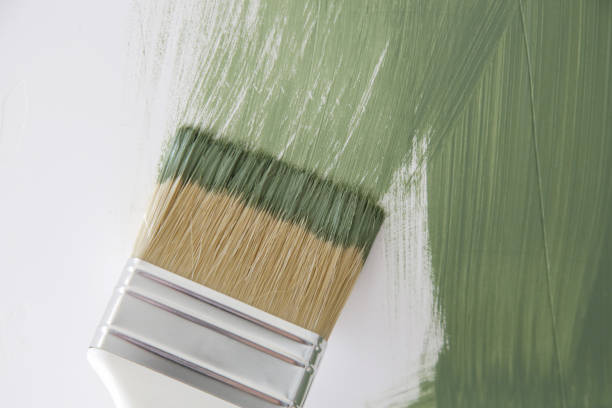 Best Mold Damage Restoration  in Greeley, CO