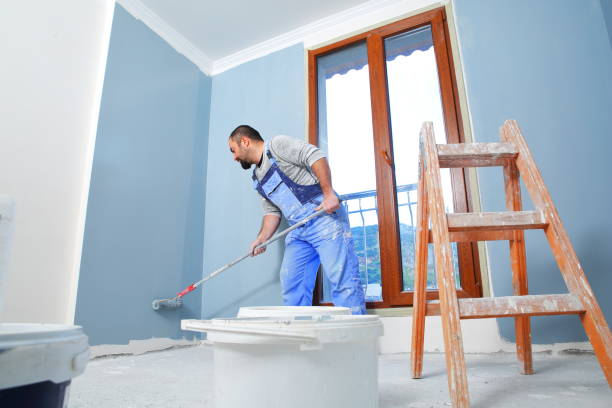 Best Attic Mold Removal  in Greeley, CO