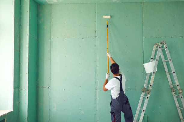 Best Industrial Mold Remediation  in Greeley, CO