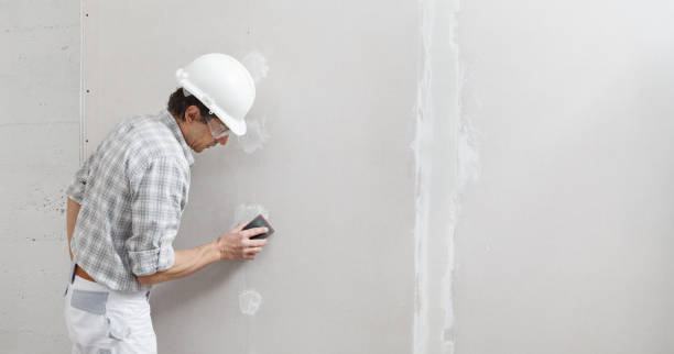 Best Airborne Mold Testing  in Greeley, CO