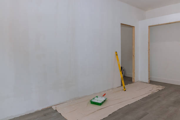 Best HVAC Mold Inspection and Cleaning  in Greeley, CO