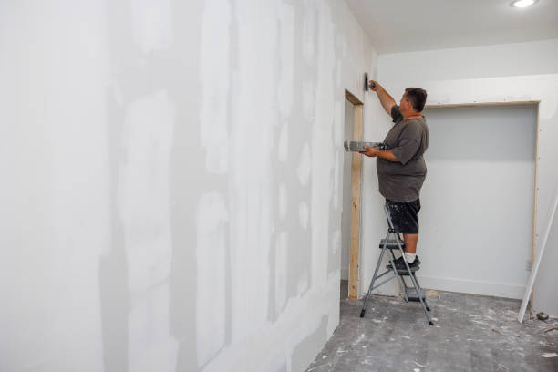 Best Mold Odor Removal Services  in Greeley, CO