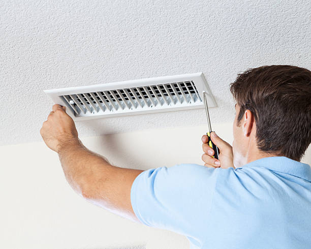 Best Forensic Mold Investigation  in Greeley, CO