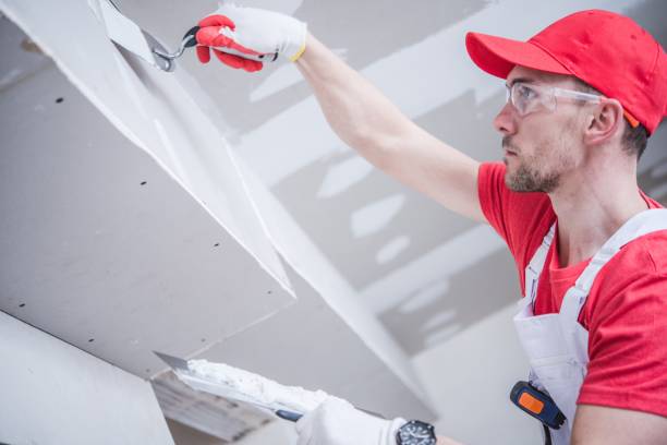 Best Biohazard Mold Removal  in Greeley, CO